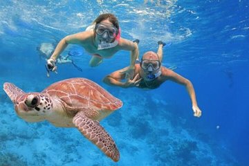 Snorkeling at Mahmya Island from Hurghada