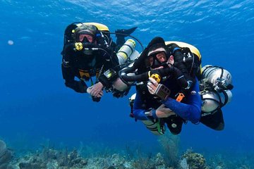 Professional Scuba Diving Boat Trip With Lunch and Transfer – Hurghada 