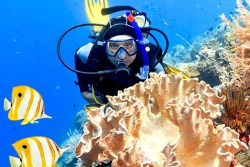 PADI Advanced Diving Course With Transfer and Lunch - Hurghada