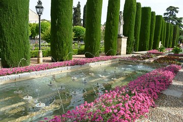 Cordoba Tour with Alcazar, Synagoge & Mosque Skip the Line 