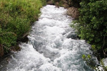 Private tour of the Israeli Far North - Tel Dan, Banias Reserve & Waterfall