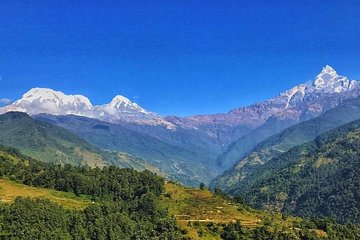10 Days Kathmandu Chitawan Pokhara Tour with Dhampus Trek