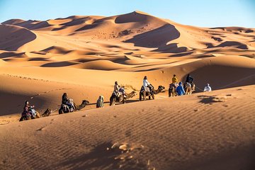  Merzouga Sahara Desert