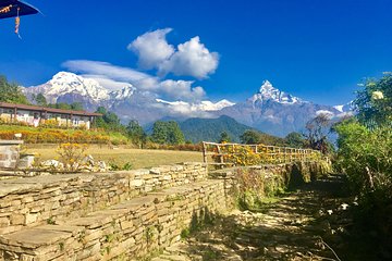 Best Short 5 days Trek Pokhara-Dhampus-Sarangkot 