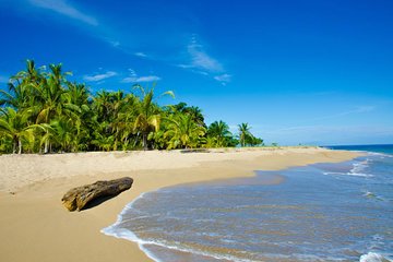 10 Days Caribbean to Pacific from San Jose