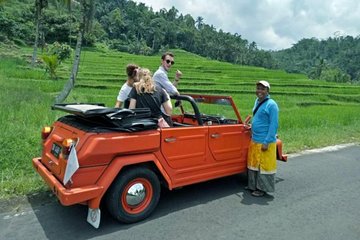 Bali VW Jeep Tour: Rice Terrace, Waterfall, Garden View