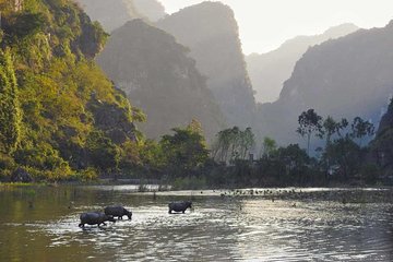 Full Day Trip to Discover Ninh Binh – Hoa Lu – Tam Coc From Ha Noi