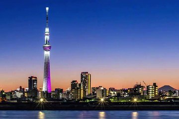 [Private] Tokyo Personalized Tour (Guide Only)