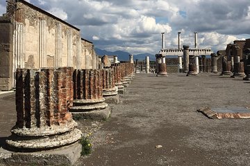 From Naples or Sorrento Pompeii tour Guide and lunch in a winery on Mt Vesuvius 