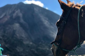 Pacaya Volcano and Thermal Pools