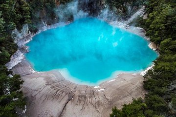 Rotorua based Small Group Morning Tour Waimangu and Wai O Tapu