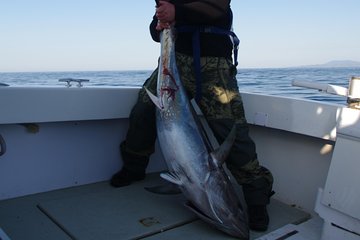 Big Game Fishing Hvar