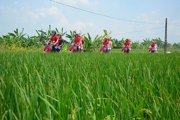 Hanoi Vespa Tours: Hanoi Vintage Vespa Tours Countryside 