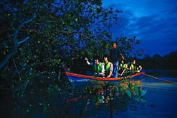 Kuala Selangor Wildlife & Fireflies Night Tour with Dinner