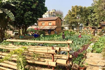 Urban Organic Farm Tour with Authentic Nepali Lunch in Pokhara Nepal