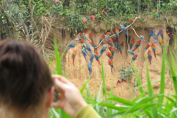 Tambopata All In One