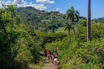 Puerto Plata: Mountain Half Day Horseback Riding