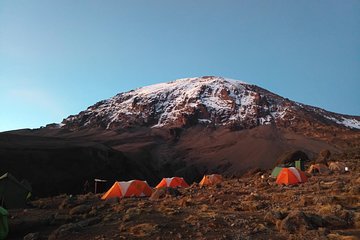 7 days Rongai route climbing Mt. Kilimanjaro 