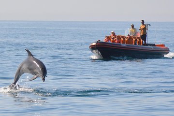 Dolphin Safari and Cave Tour from Vilamoura