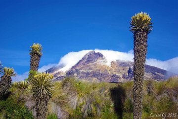 Trekking at Los Nevados National Natural Park