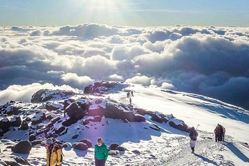 Mt kilimanjaro (highest in Africa) hike 6 days Rongai route