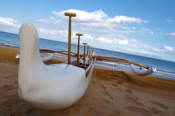 Hawaiian Outrigger Canoe Cultural and Turtle Tour