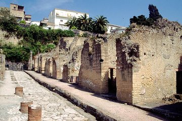 Naples: Pompeii, Herculaneum, and Vesuvius Tour by Minivan