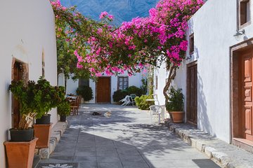 A full 8 hour Santrorini Tour (private)