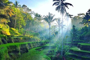 Private All Day Trip Around 4 Days in Bali " Complete Tours"