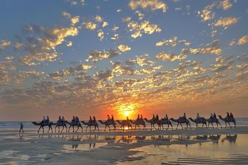 1 Hour Broome Sunset Camel Tour 