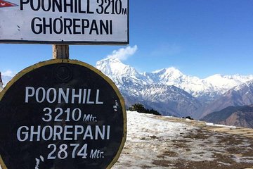 Ghorepani-Poonhill Trek 5 days - Best Short Trek in Annapurna Massif 