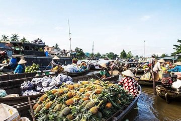 Authentic Mekong Delta Private Tour 2D1N From Ho Chi Minh City