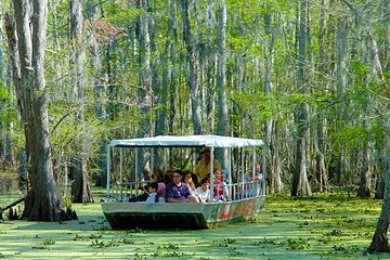 New Orleans Swamp and Bayou Boat Tour with Transportation