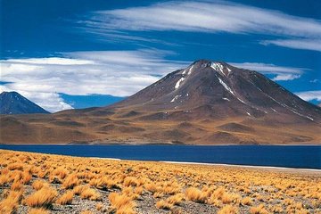 San Pedro: Full day Altiplanics Lagoons and Salar de Atacama