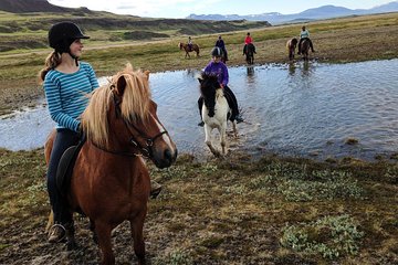 Horse Riding Tour to the Glacier River Delta with Waterfall