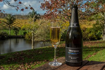 Auckland City Tour & Kumeu Wine Country Includes Wine Tastings & Lunch 