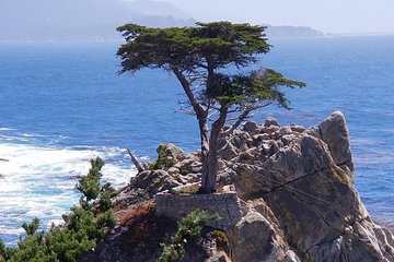 Monterey, 17-Mile Drive, Pebble Beach, & Carmel Private Tour 