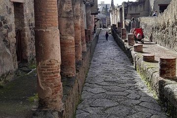 Private Tour Of Herculaneum & Mount Vesuvius