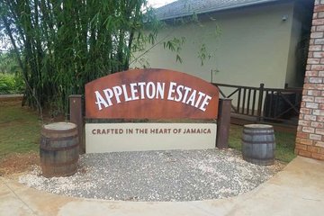 Appleton Estate Rum Private Tour