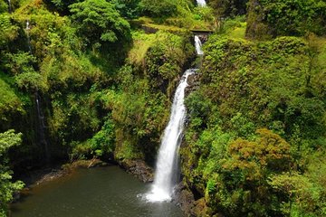 Road To Hana Black Sand Beach Waterfalls & Turtles Tour