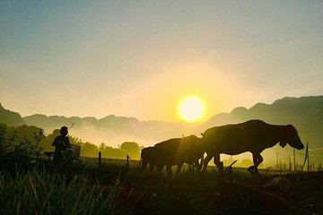 2-Day Mai Chau Valley Tour from Hanoi