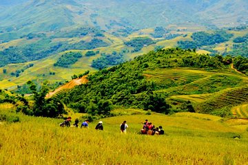 2-Day 3-Night Sapa Trek with Homestay Experience