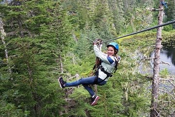 Stoney Creek Canopy Adventure