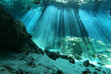 Tulum cenote diving. The real mayan underworld