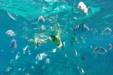 Discover Sosua's Underwater World & Beach Day