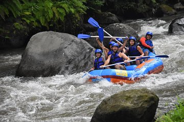 Bali Rafting with Lunch and Transport