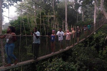 Bonsu Aboretum Canopy, Cocoa Research & Aburi Gardens