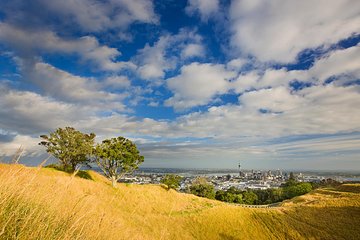 Private Auckland Volcanoes Luxury Tour