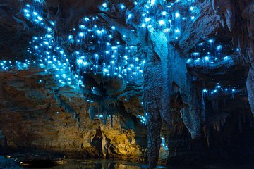 Auckland to Waitomo Caves Private Tour