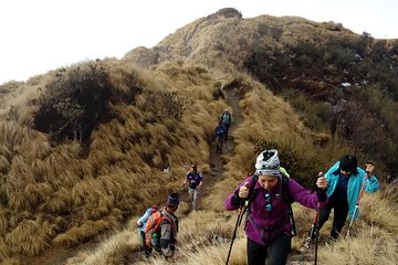 4 Days Mardi Himal Base Camp Trek from Pokhara